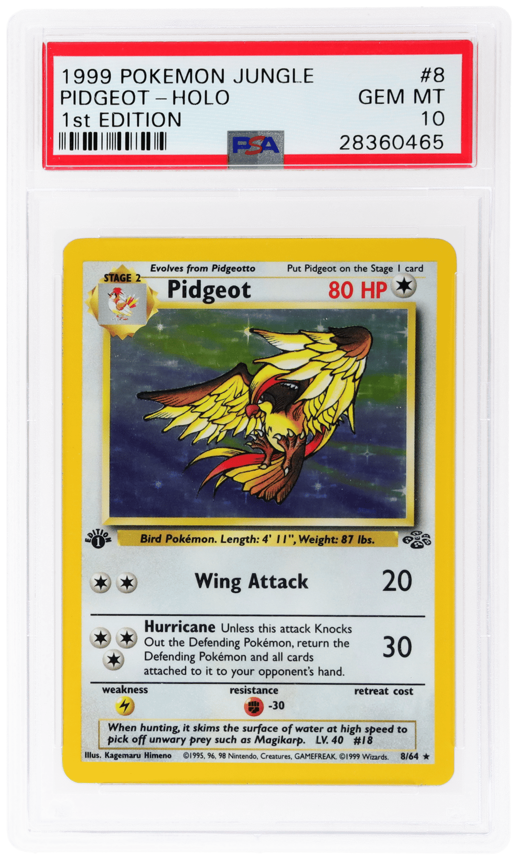 1999 Pokemon Jungle 1st Edition Holo Pidgeot #8 PSA 10