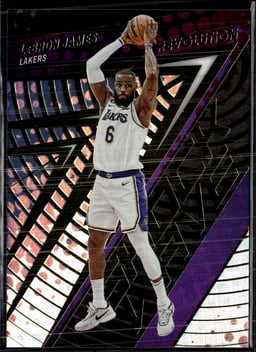 2023 LeBron James #8 Revolution