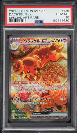 2024 Pokemon Japanese Scarlet & Violet Stellar Miracle SAR Dachsbun ex #129 PSA 10 GEM MINT
