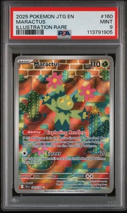 2025 POKEMON JTG EN-JOURNEY TOGETHER ILLUSTRATION RARE #160 MARACTUS PSA 9