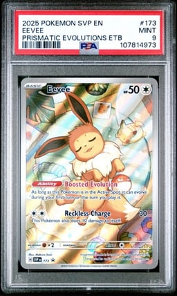 2025 POKEMON SVP EN-SV BLACK STA