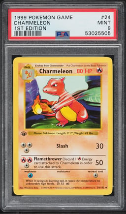 1999 Pokemon Base Set Shadowless 1st Edition Charmeleon #24 PSA 9 MINT