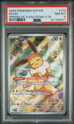 2025 POKEMON SVP EN-SV BLACK STAR PROMO #173 EEVEE PSA 8