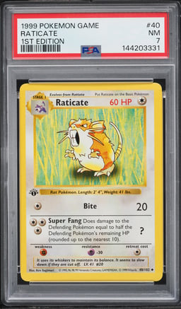 1999 Pokemon Base Set Holo Shadowless 1st Edition Raticate #40 PSA 7 NRMT