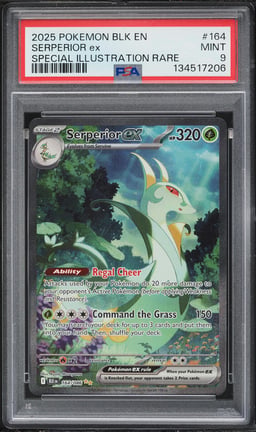 2025 Pokemon Scarlet & Violet Black Bolt SIR Serperior ex #164 PSA 9 MINT
