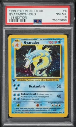 1999 Pokemon Dutch Base Set 1st Edition Holo Gyarados #6 PSA 8 NM-MT