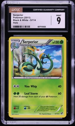 2011 Pokemon Black & White Holo Serperior #5 CGC 9 MINT