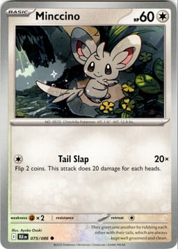 2025 Minccino #75 Black Bolt