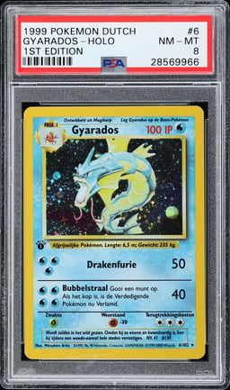 1999 Pokemon Dutch Base Set 1st Edition Holo Gyarados #6 PSA 8 NM-MT