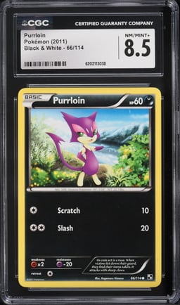 2011 Pokemon Black & White Purrloin #66 CGC 8.5 NM-MT+