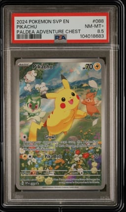 2024 POKEMON SVP EN-SV BLACK STAR PROMO PALDEA ADVENTURE CHEST PIKACHU PSA 8.5