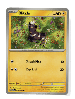 2025 Blitzle #31 White Flare