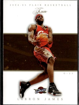 2005 LeBron James #23 Flair