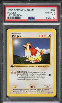 1999 Pokemon Base Set Shadowless 1st Edition Pidgey #57 PSA 8.5 NM-MT+