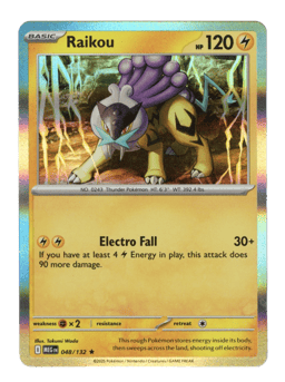 2025 Raikou #48 Mega Evolution
