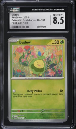 2025 Pokemon SV Prismatic Evolutions Poke Ball Holo Budew #4 CGC 8.5 NM-MT+