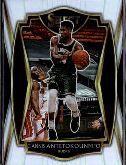 2020 Giannis Antetokounmpo #117 Select