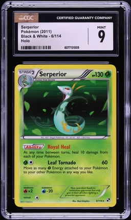 2011 Pokemon Black & White Holo Serperior #6 CGC 9 MINT