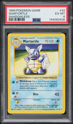 1999 Pokemon Base Set Shadowless Wartortle #42 PSA 6 EXMT