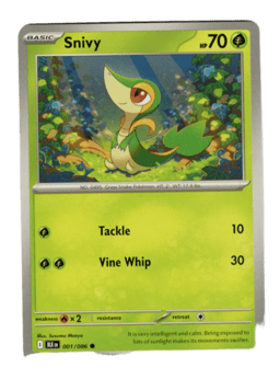 2025 Snivy #1 Black Bolt