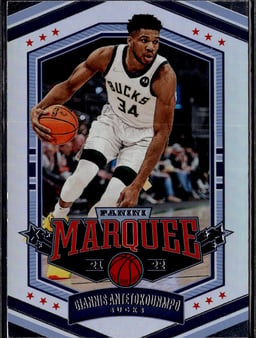 2021 Giannis Antetokounmpo #362 Chronicles