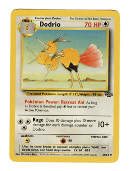 1999 Dodrio #34 Jungle Unlimited