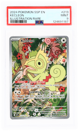2024 Pokemon Scarlet and Violet Surging Sparks Illustration Rare Kecleon #213 PSA 9