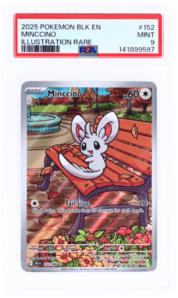 2025 Pokemon Scarlet and Violet Black Bolt Illustration Rare Minccino #152 PSA 9