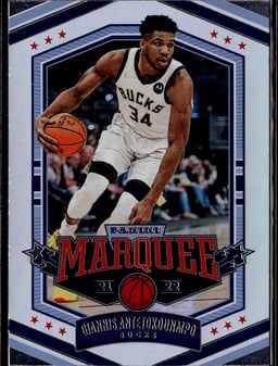 2021 Giannis Antetokounmpo #362 Chronicles