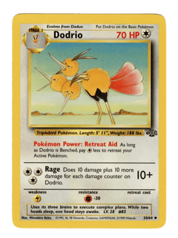 1999 Dodrio #34 Jungle Unlimited