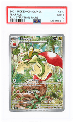 2024 Pokemon Scarlet and Violet Surging Sparks Illustration Rare Flapple #210 PSA 9