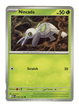 2025 Nincada #16 Mega Evolution