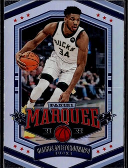 2021 Giannis Antetokounmpo #362 Chronicles