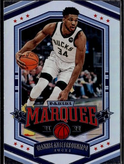 2021 Giannis Antetokounmpo #362 Chronicles