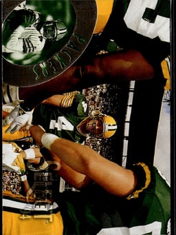 1994 Brett Favre #142 Select