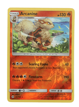 2017 Arcanine #22 Sun & Moon