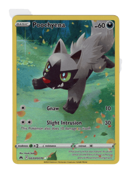 2023 Poochyena #GG33 Crown Zenith