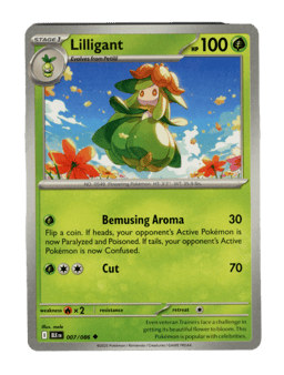 2025 Lilligant #7 Black Bolt