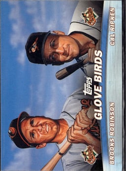 2000 Brooks Robinson #TC3 Glove Birds