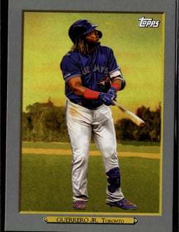 2020 Vladimir Guerrero Jr. #TR-91 Pro-Vision