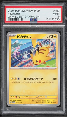 2024 Pokemon Japanese Scarlet & Violet Promo Gym Event Campaign Pikachu #197 PSA 9 MINT