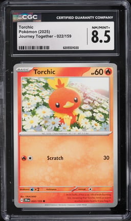 2025 Pokemon Scarlet & Violet Journey Together Torchic #022 CGC 8.5 NM-MT+