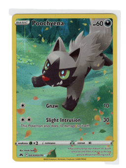 2023 Poochyena #GG33 Crown Zenith