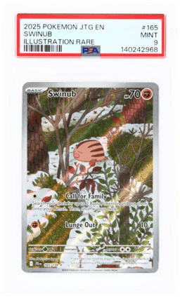 2025 Pokemon Journey Together Illustration Rare Swinub #165 PSA 9