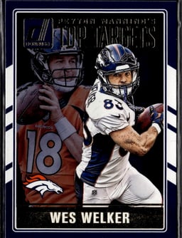 2016 Wes Welker #8 Peyton Manning's Top Targets