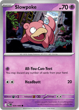 2026 Slowpoke #29 Pitch Black