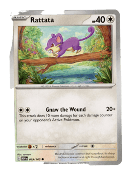 2023 Rattata #19 151