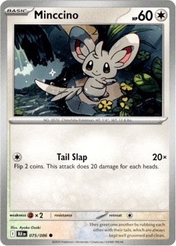 2025 Minccino #75 Black Bolt