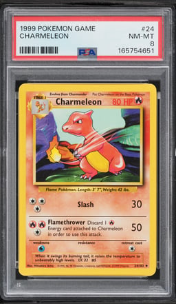 1999 Pokemon Base Set Charmeleon #24 PSA 8 NM-MT
