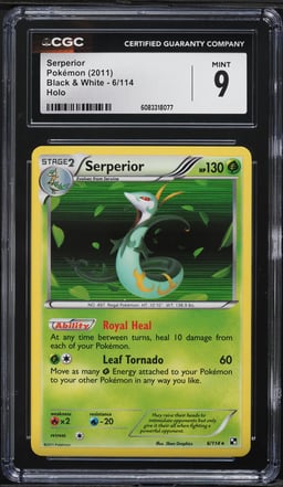 2011 Pokemon Black & White Holo Serperior #6 CGC 9 MINT